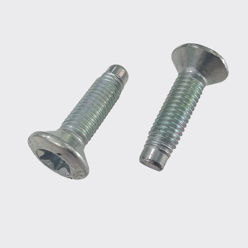 Automobile special screws 2